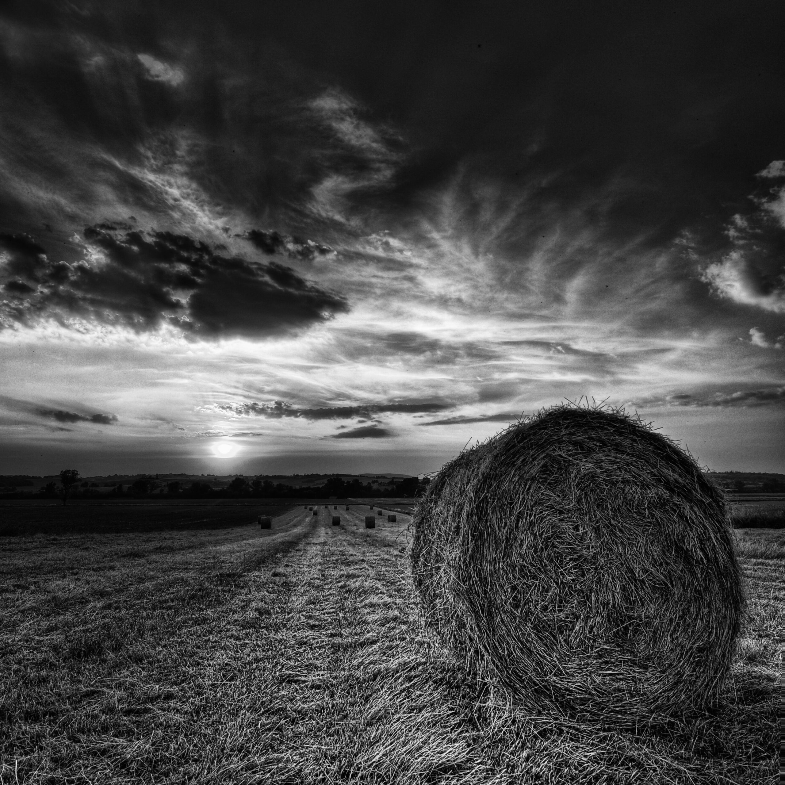 rotoballa quadrato BN